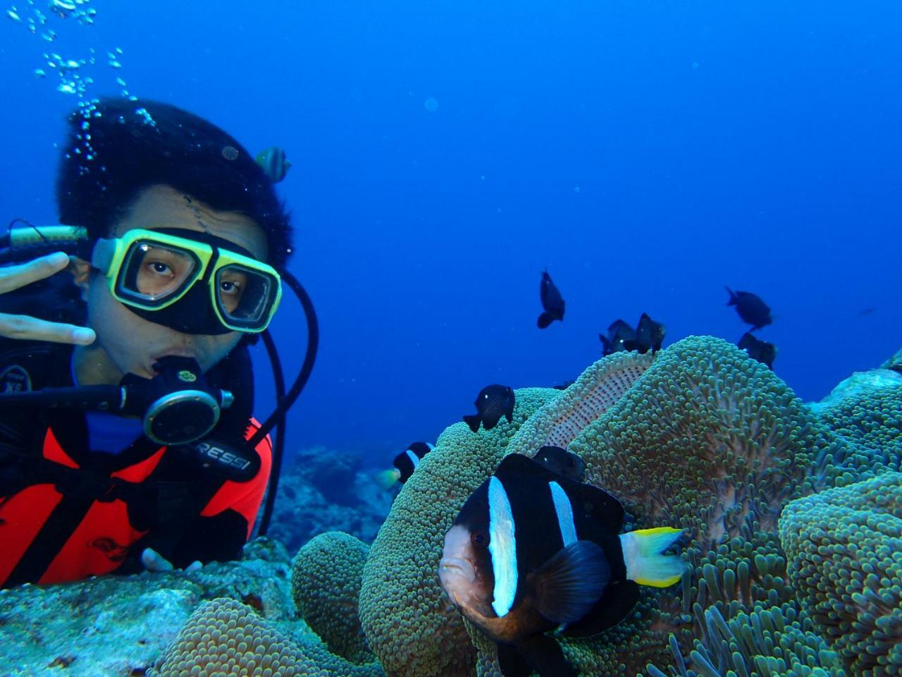 غرين آيلاند Qing Feng Diving B&B المظهر الخارجي الصورة